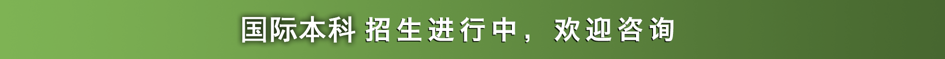 电子科技大学马院国际学分课程办公室
